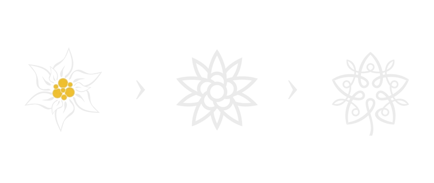 Image du logo
