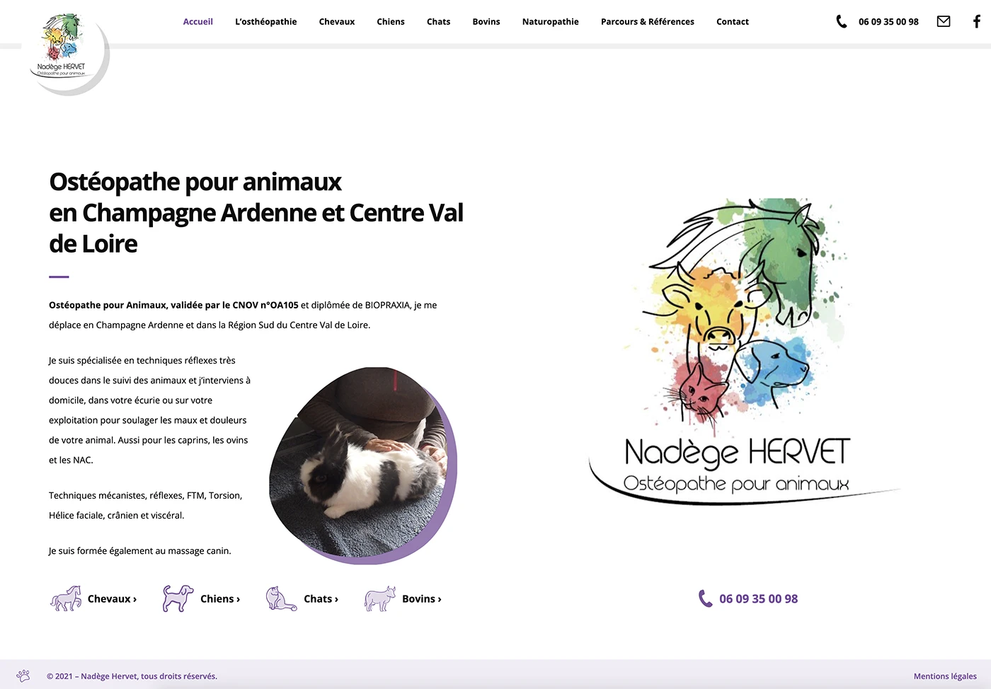 Capture d'écran du site web