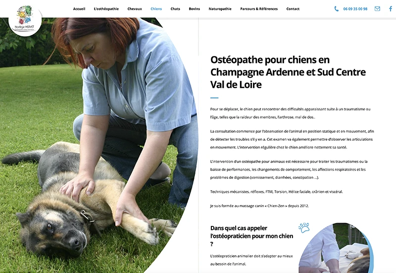 Capture d'écran du site web