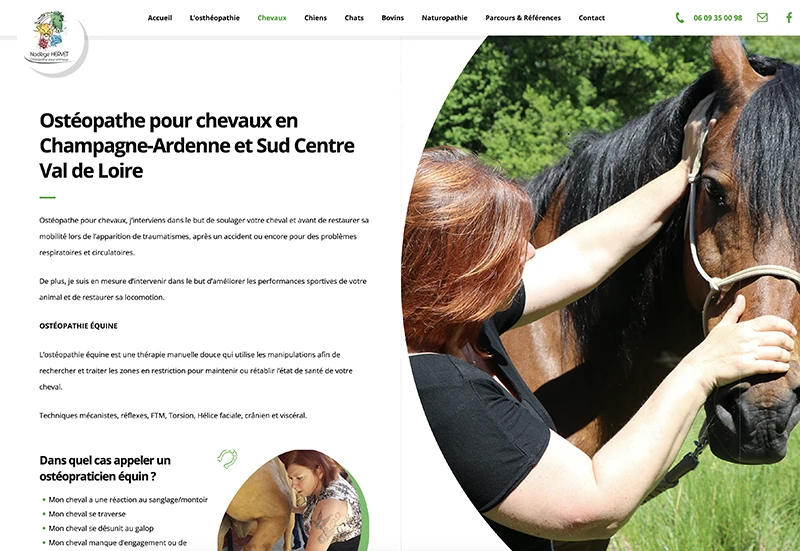 Capture d'écran du site web
