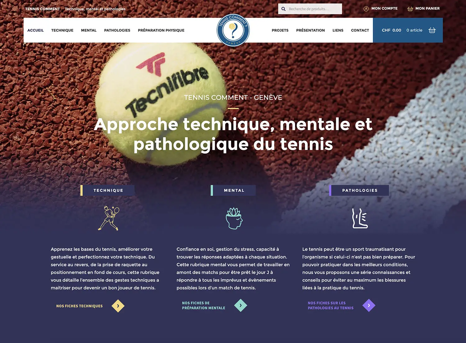 Capture d'écran du site web